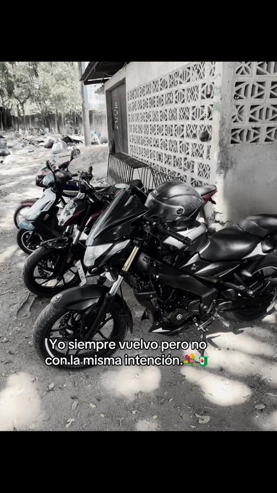 TikTok video thumbnail by orellana_bicho.man