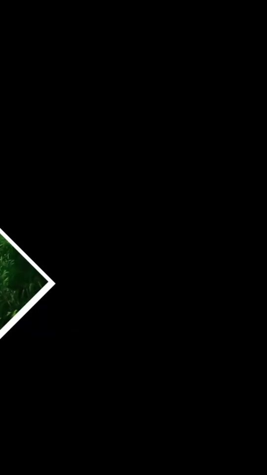 TikTok video thumbnail by irismalca