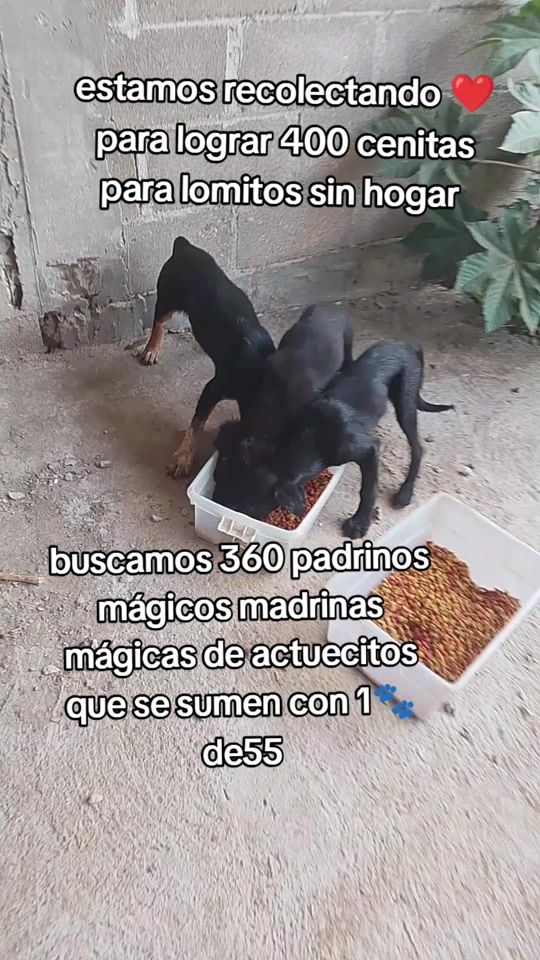 TikTok video thumbnail by adriana_torres_actue