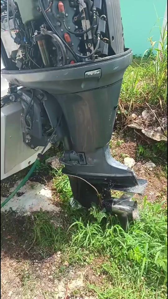 TikTok video thumbnail by knowles.marine