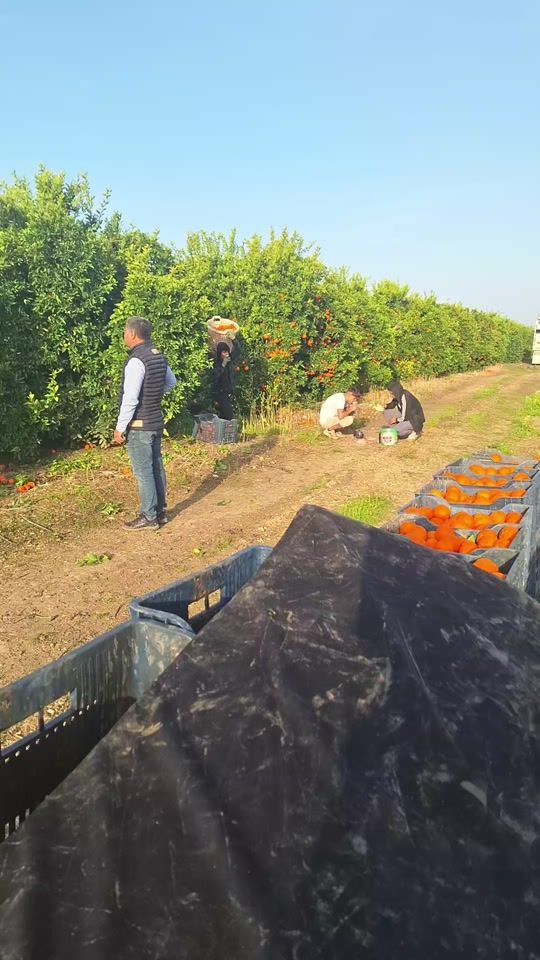 TikTok video thumbnail by d_i_l_o_22