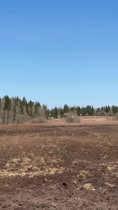 TikTok video thumbnail by retneva_elena