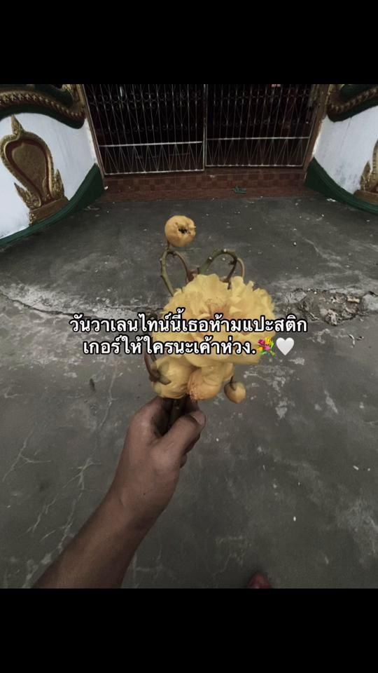 TikTok video thumbnail by somphonethammavon2