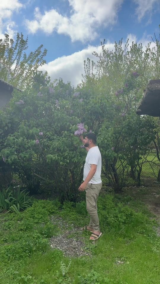 TikTok video thumbnail by demir__59