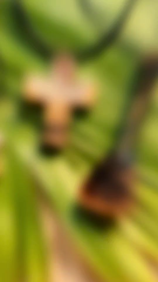 TikTok video thumbnail by bornfreenc
