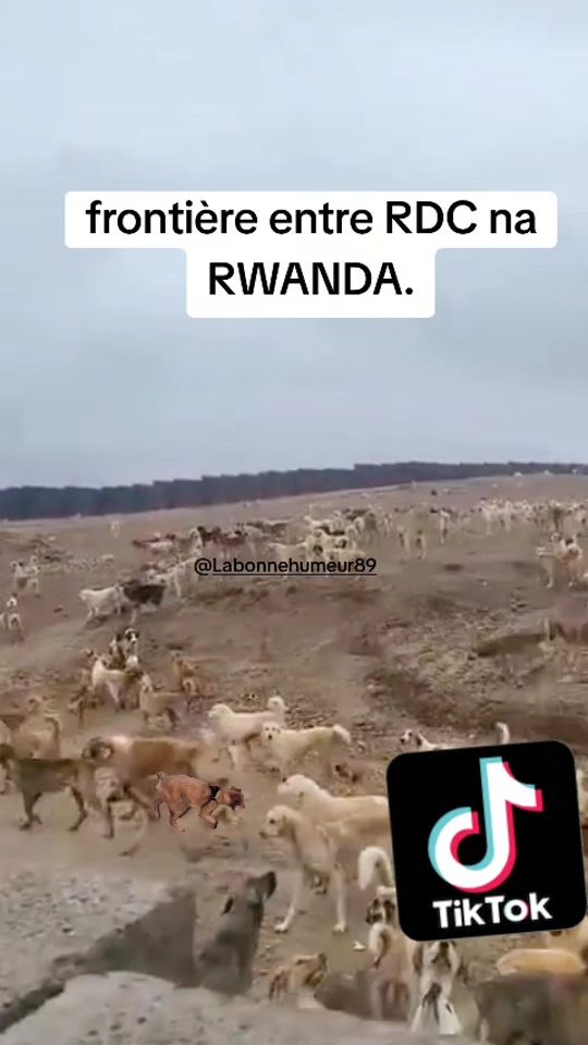TikTok video thumbnail by labonnehumeur89