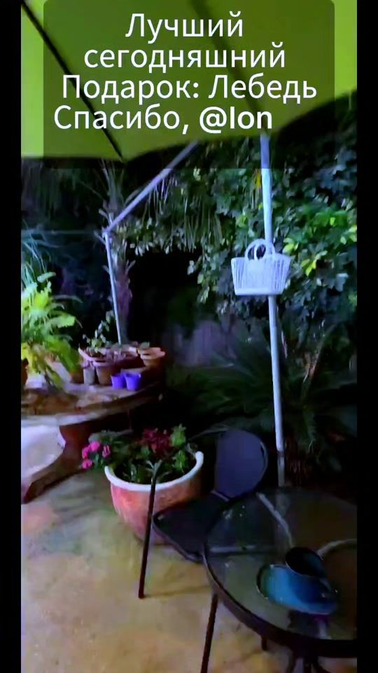 TikTok video thumbnail by reginafox24