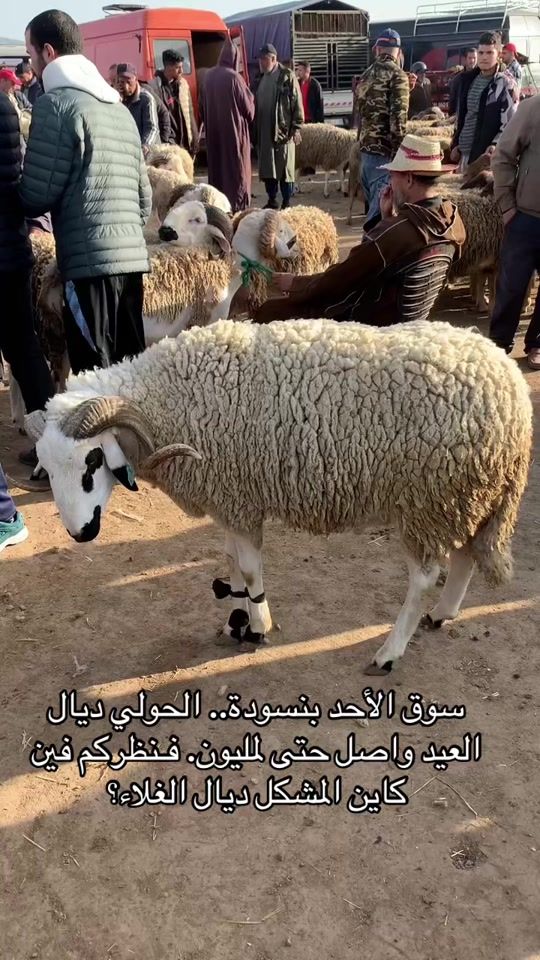 TikTok video thumbnail by slassikarim
