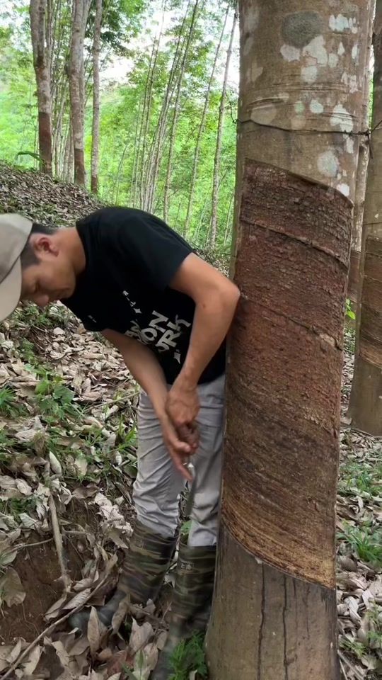 TikTok video thumbnail by laim.dis.75
