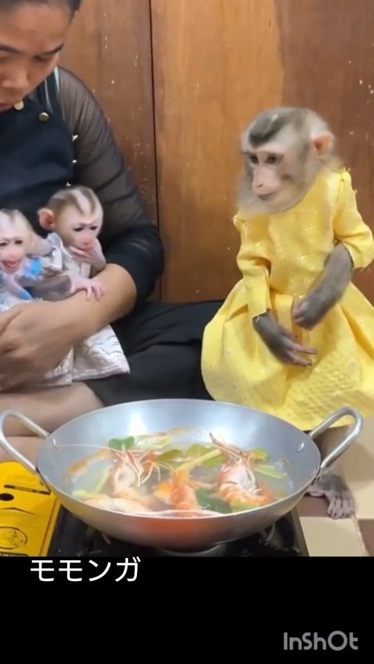 TikTok video thumbnail by joounohana