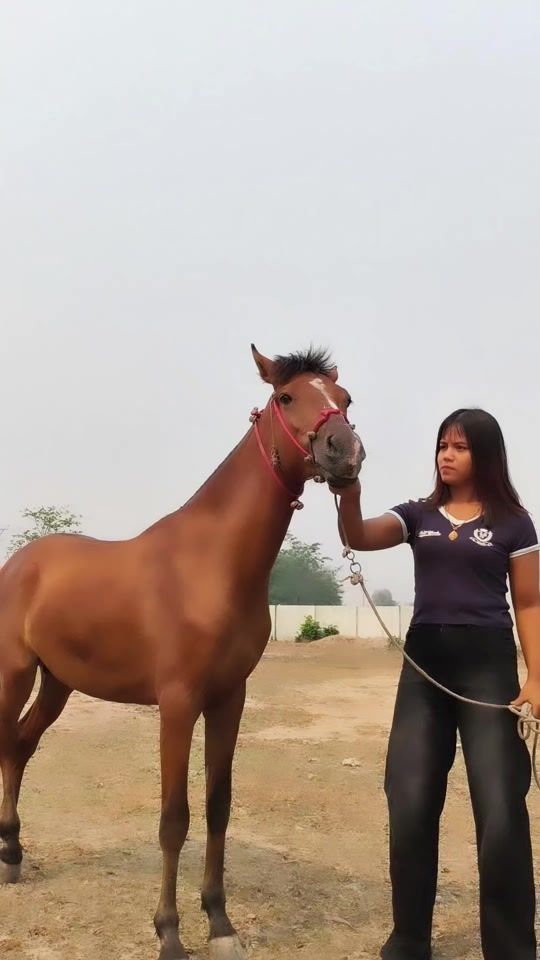 TikTok video thumbnail by ko.aung0799