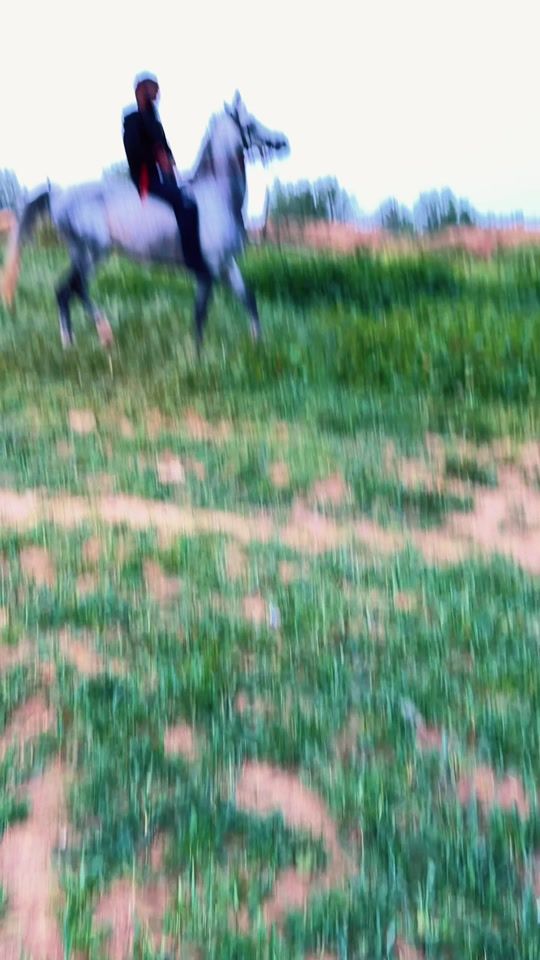 TikTok video thumbnail by modem1255