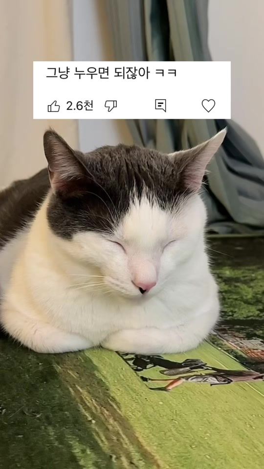 TikTok video thumbnail by zipsaholic