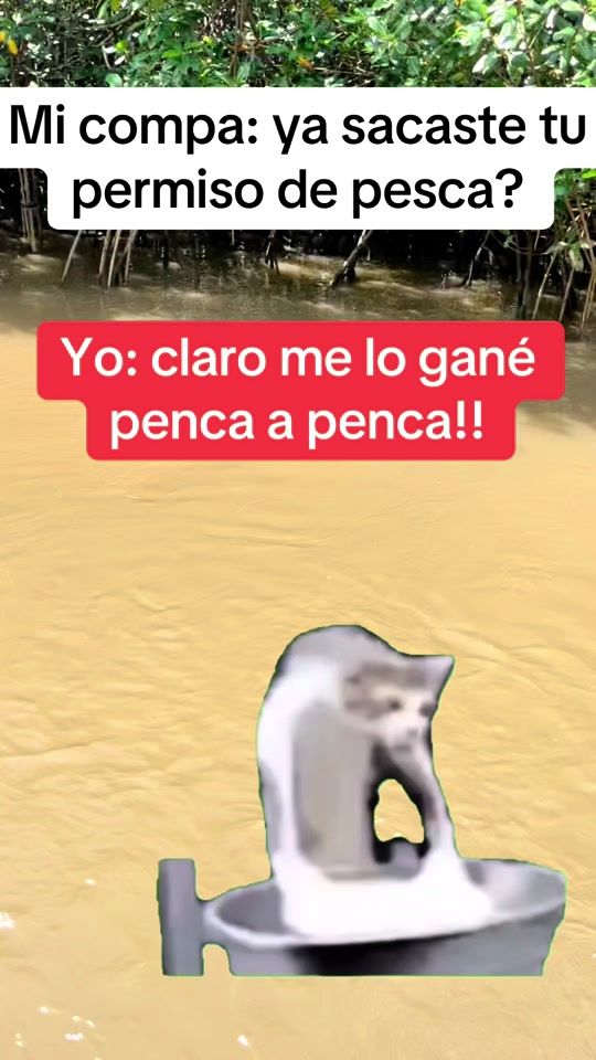 TikTok video thumbnail by aloncenteno02