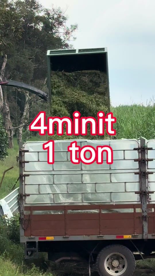 TikTok video thumbnail by ahhing91_oe