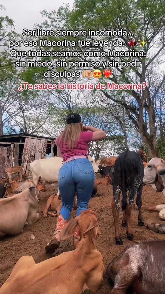 TikTok video thumbnail by ruthsanchez242