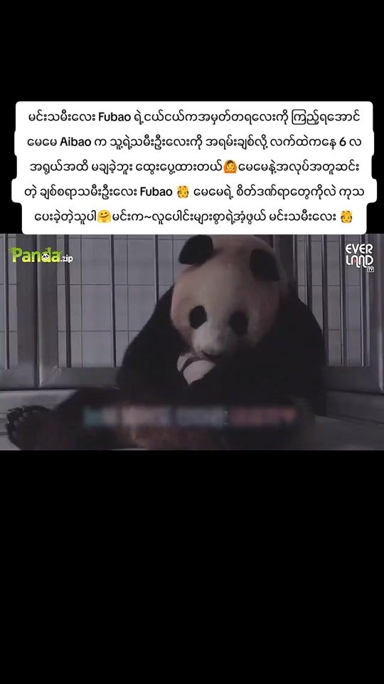 TikTok video thumbnail by sharshar9228