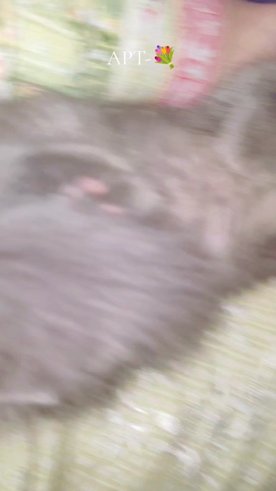 TikTok video thumbnail by zahra_ishfa