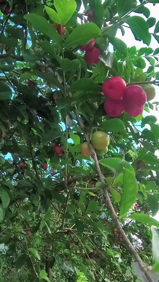 TikTok video thumbnail by nilsahaytsmann