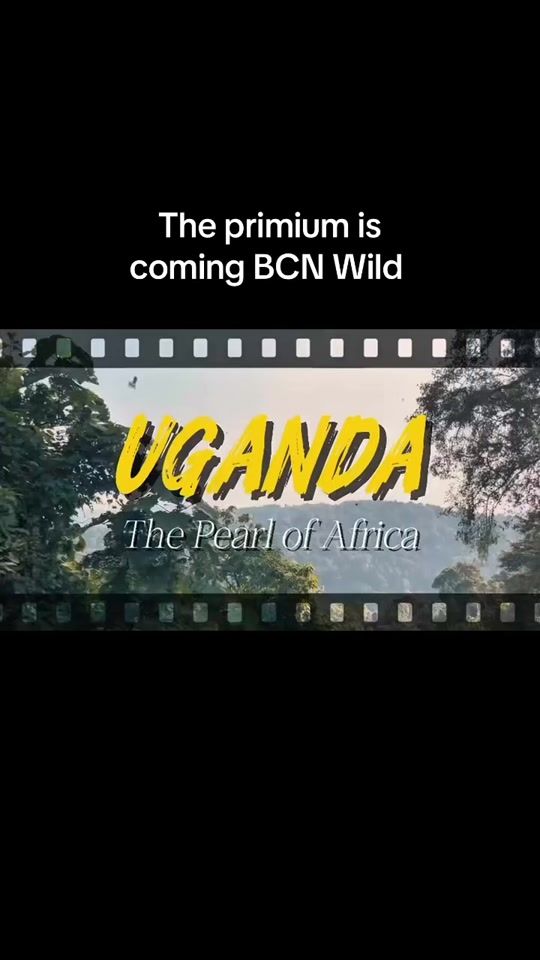 TikTok video thumbnail by bcnwild