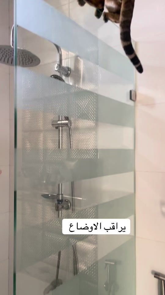 TikTok video thumbnail by lulwa.salem