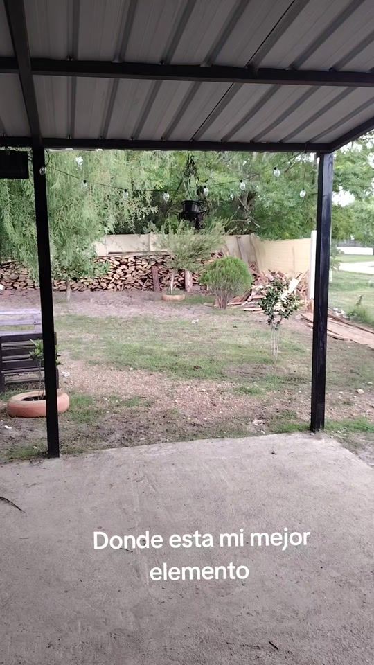 TikTok video thumbnail by mateopitbull24