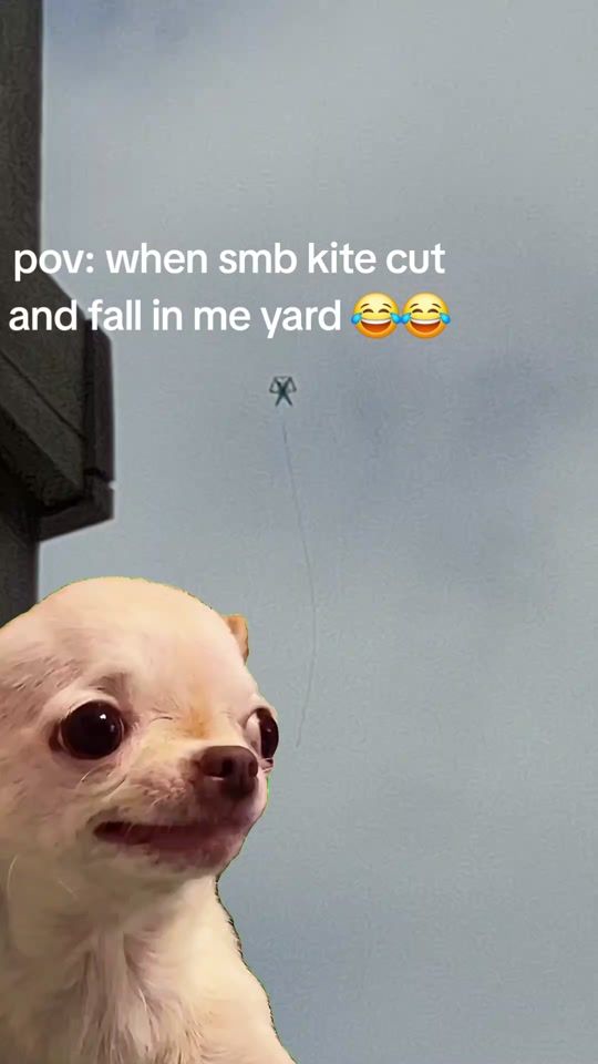 TikTok video thumbnail by _mrcooliebeng_007_