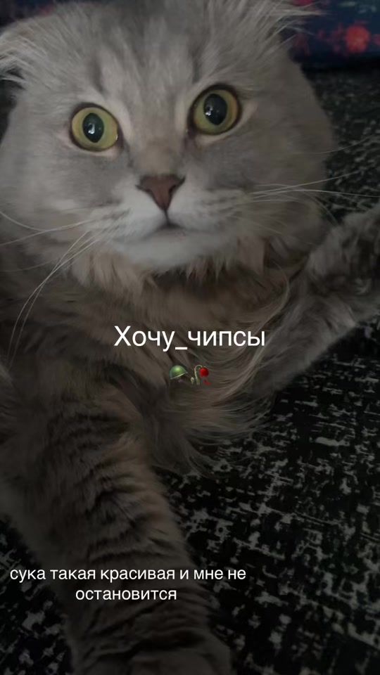 TikTok video thumbnail by dipcykii