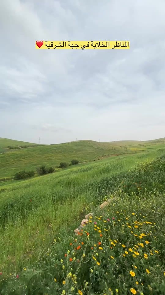 TikTok video thumbnail by moul_motor