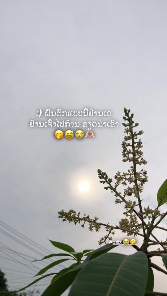 TikTok video thumbnail by ou.mobile95