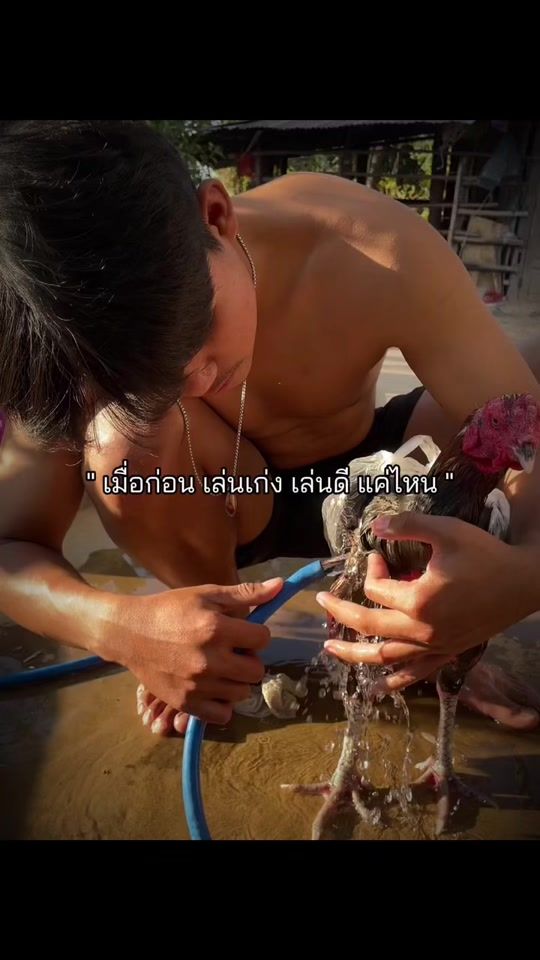 TikTok video thumbnail by wave_0tk
