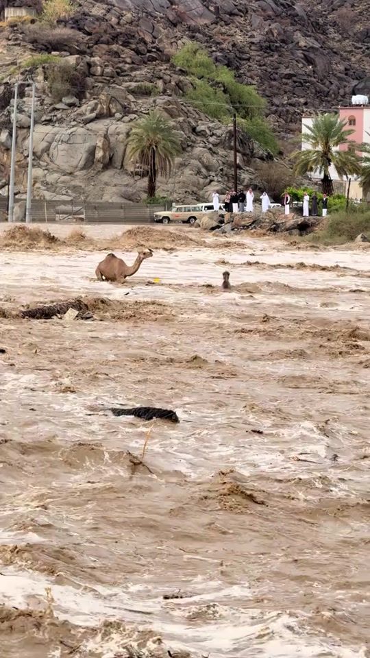 TikTok video thumbnail by babuantoni