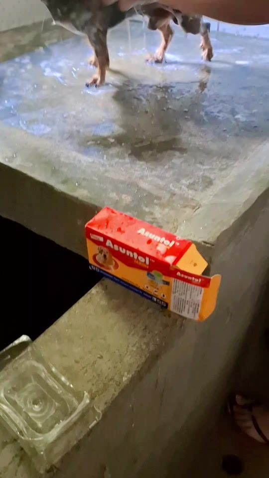 TikTok video thumbnail by dani.73503