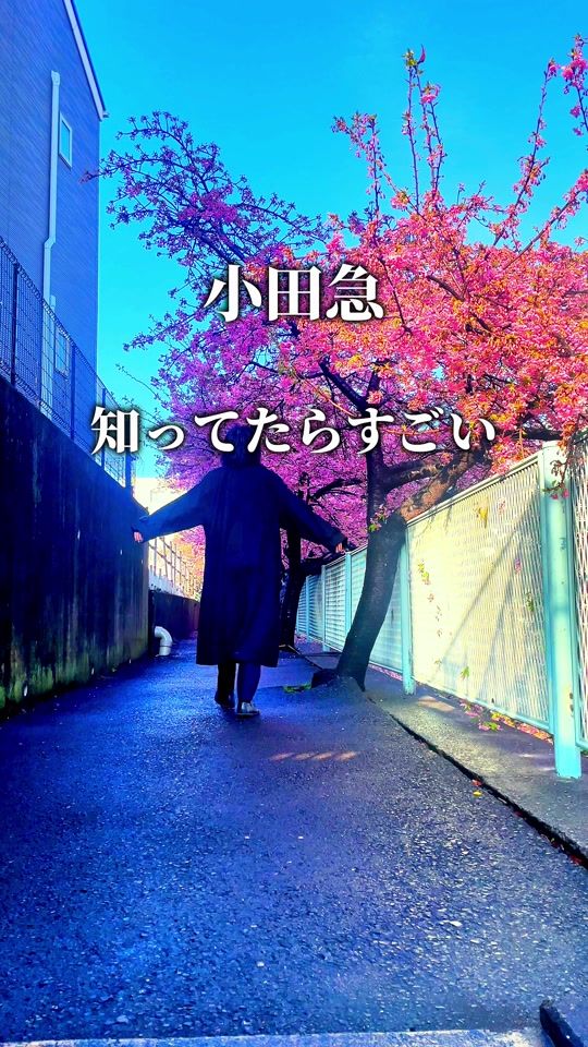 TikTok video thumbnail by yoshi_odakyudetrip