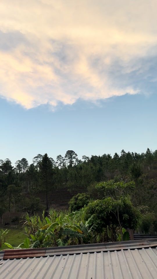 TikTok video thumbnail by persihn_