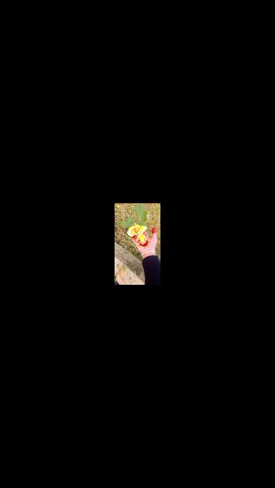 TikTok video thumbnail by fatiii_tlemcenia
