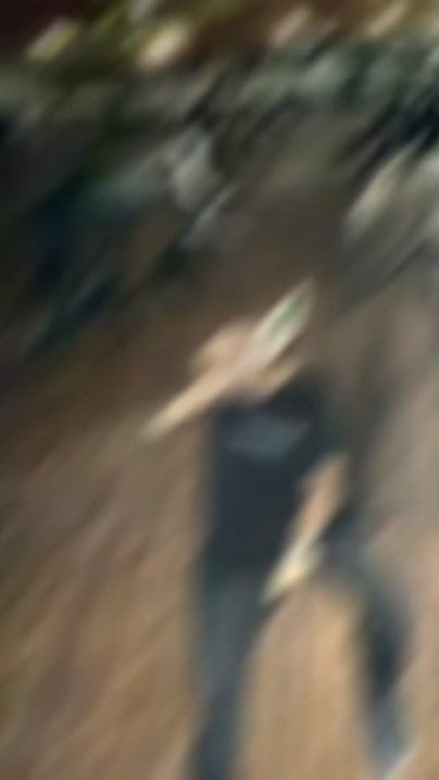 TikTok video thumbnail by 6312y
