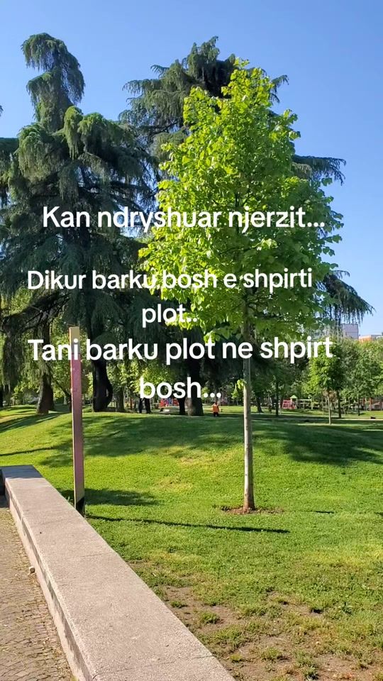 TikTok video thumbnail by theniejete3