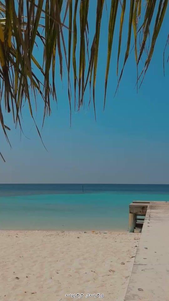 TikTok video thumbnail by arusham_lyrics