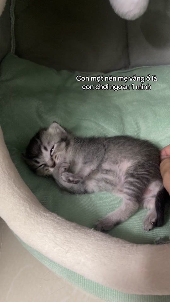 TikTok video thumbnail by miss.ricie