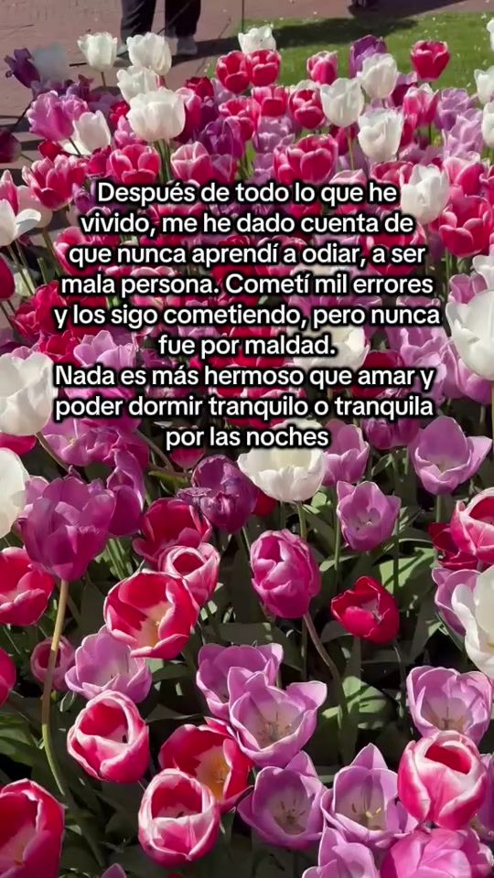 TikTok video thumbnail by andres_cr_15