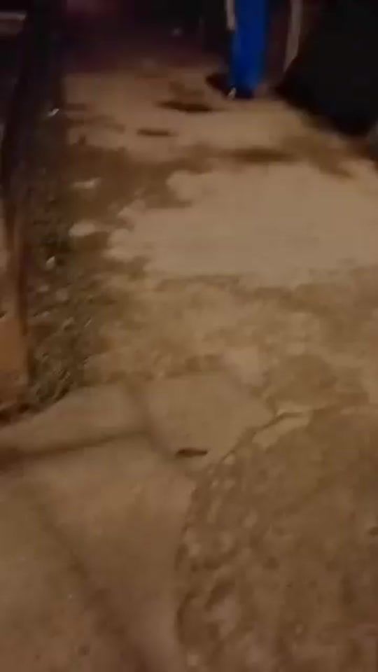 TikTok video thumbnail by javilla927