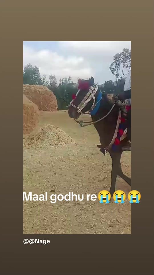 TikTok video thumbnail by nage_na