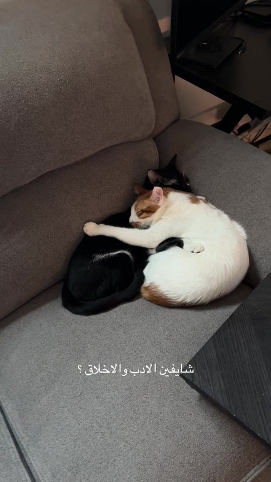 TikTok video thumbnail by linda.ixx