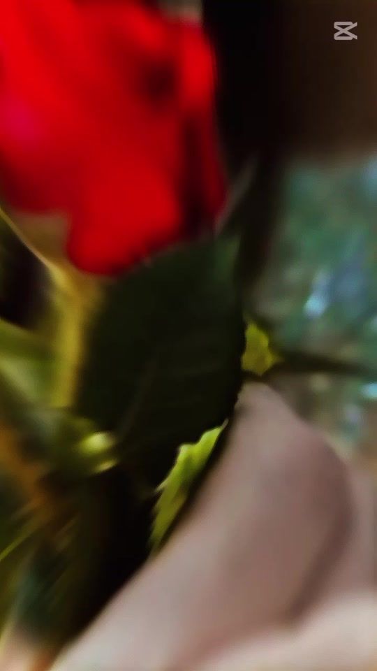 TikTok video thumbnail by arzoo.khan194