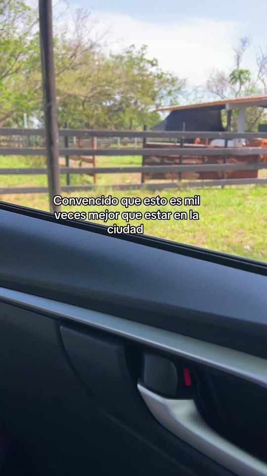 TikTok video thumbnail by .rivera3005
