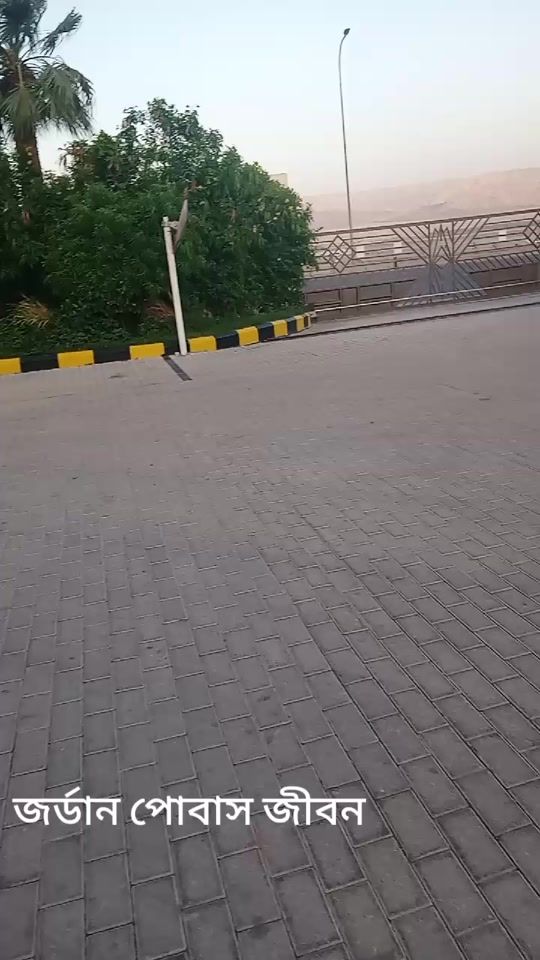 TikTok video thumbnail by mstsaboni6