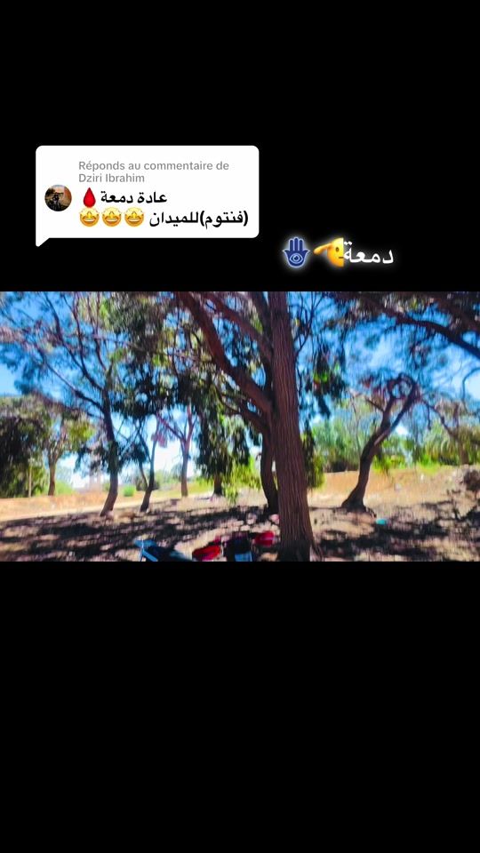 TikTok video thumbnail by weldderouich