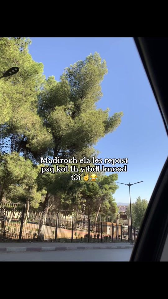 TikTok video thumbnail by bulmas24