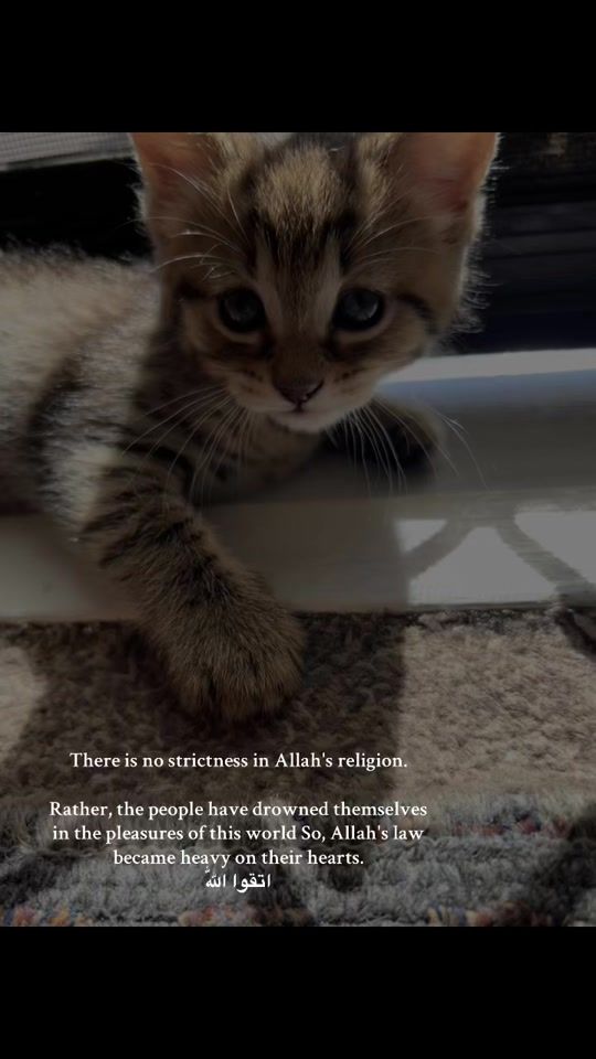 TikTok video thumbnail by deenoverdunyaa86